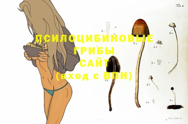 шишки Алексеевка