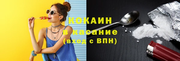 шишки Алексеевка