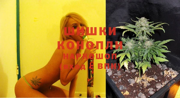 шишки Алексеевка
