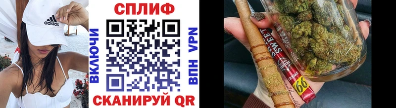 Бошки Шишки планчик  купить наркотик  darknet формула  Куса 