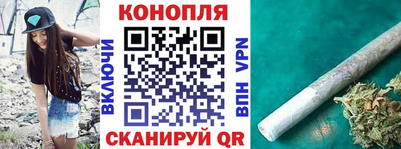 МАРИХУАНА сатива Куса